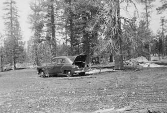 June 9 1951 - staking out the lot