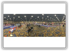 IMG_1049