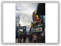 IMG_1081