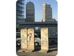 IMG_8805