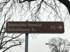 IMG_1518