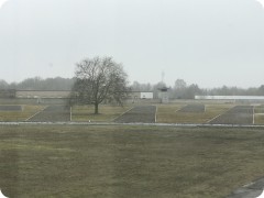 IMG_5577