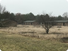 IMG_6733