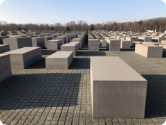 IMG_2560