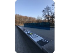 IMG_3559