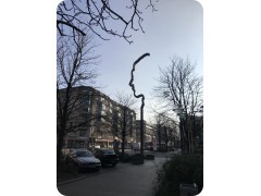 IMG_5132