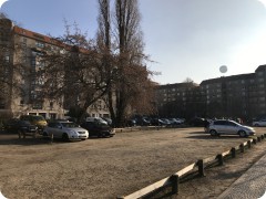 IMG_6935