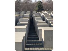IMG_7904