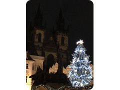 Church of our Lady 1