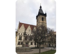 IMG_4244