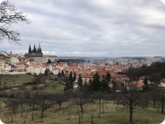 Prague from Palace