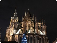 St George 5